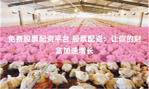 免费股票配资平台 股票配资：让你的财富加速增长