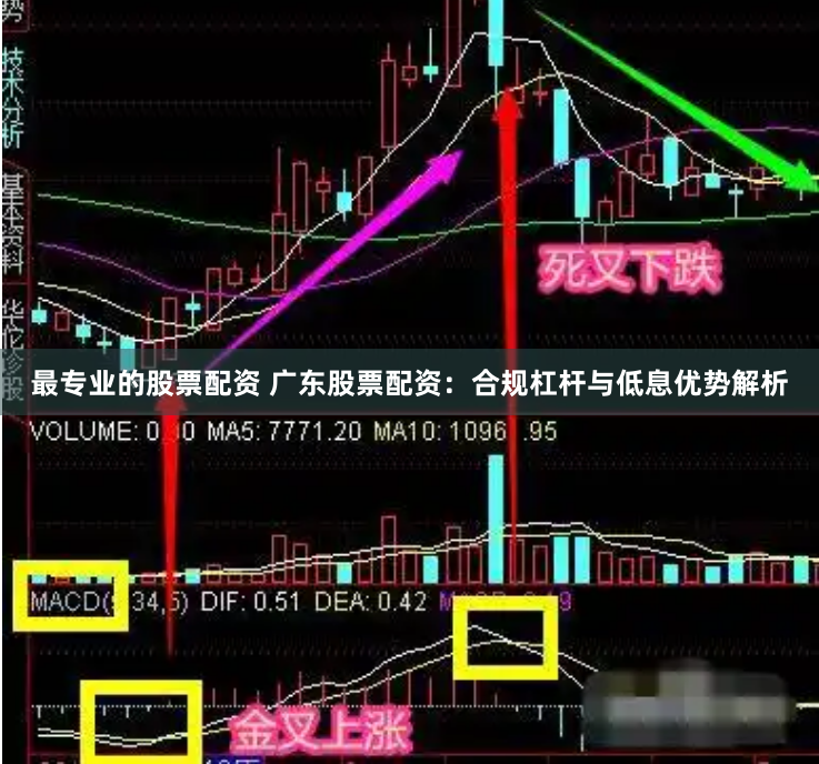 最专业的股票配资 广东股票配资:合规杠杆与低息优势解析