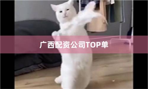 广西配资公司TOP单