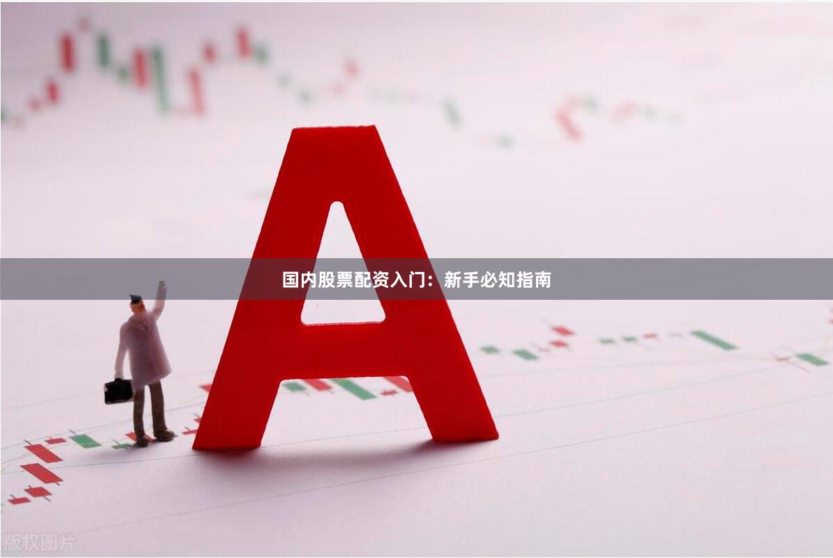 国内股票配资入门：新手必知指南
